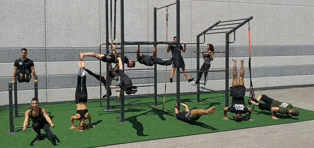 Unlock Calisthenics Strength: 3 Calisthenics Routines 19 various people performing a collage of various calisthenics strength exercises