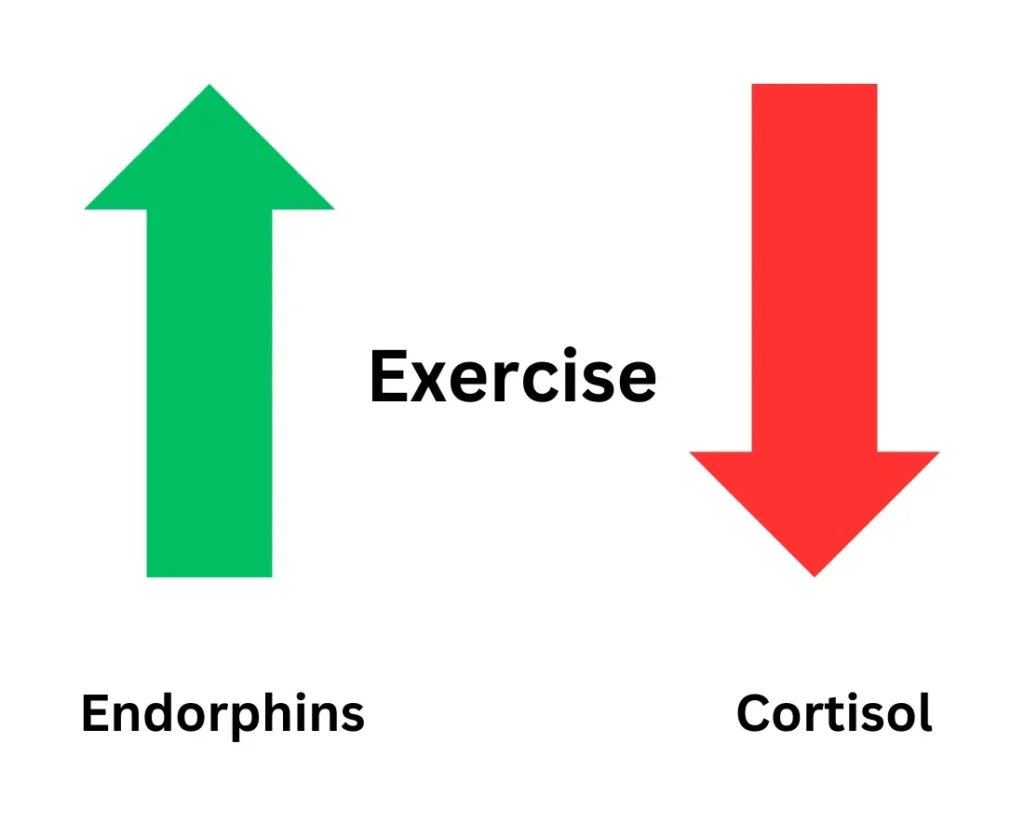 Discover 7 Powerful Exercise Benefits for Mental Health 11 graph showing an increase of endorphins and decrease of cortisol with exercise