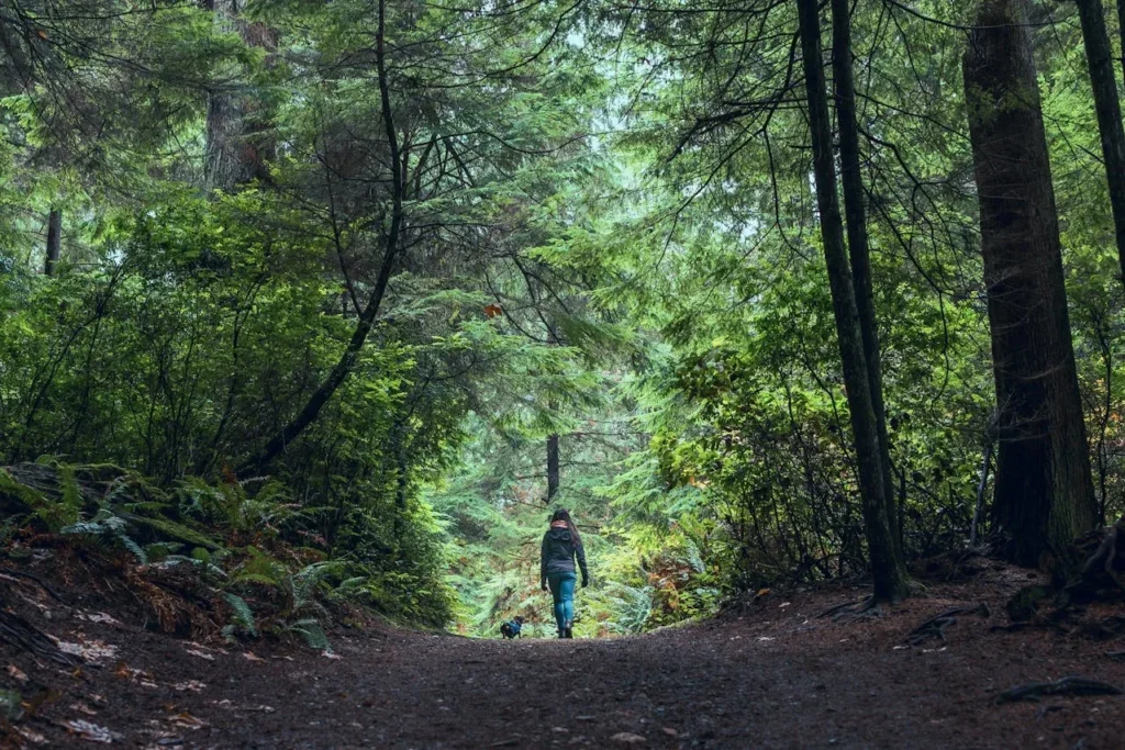 7 Surprising Health Benefits of Spending Time in Nature 5 image of a person walking through a tree tunnel where trees overhang the path