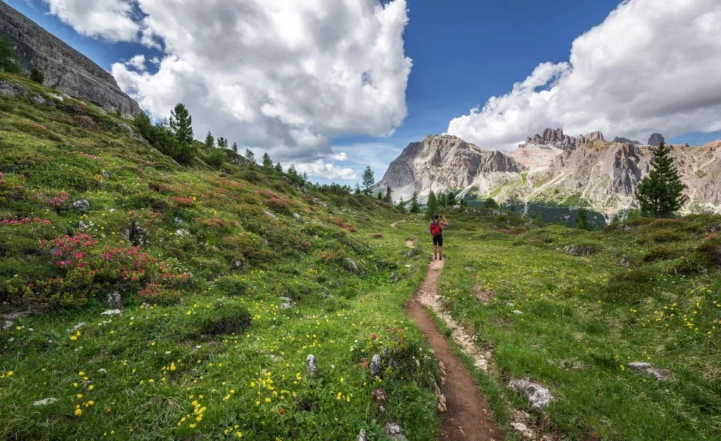 7 Surprising Health Benefits of Spending Time in Nature 3 an image of an open path through a mountain meadow