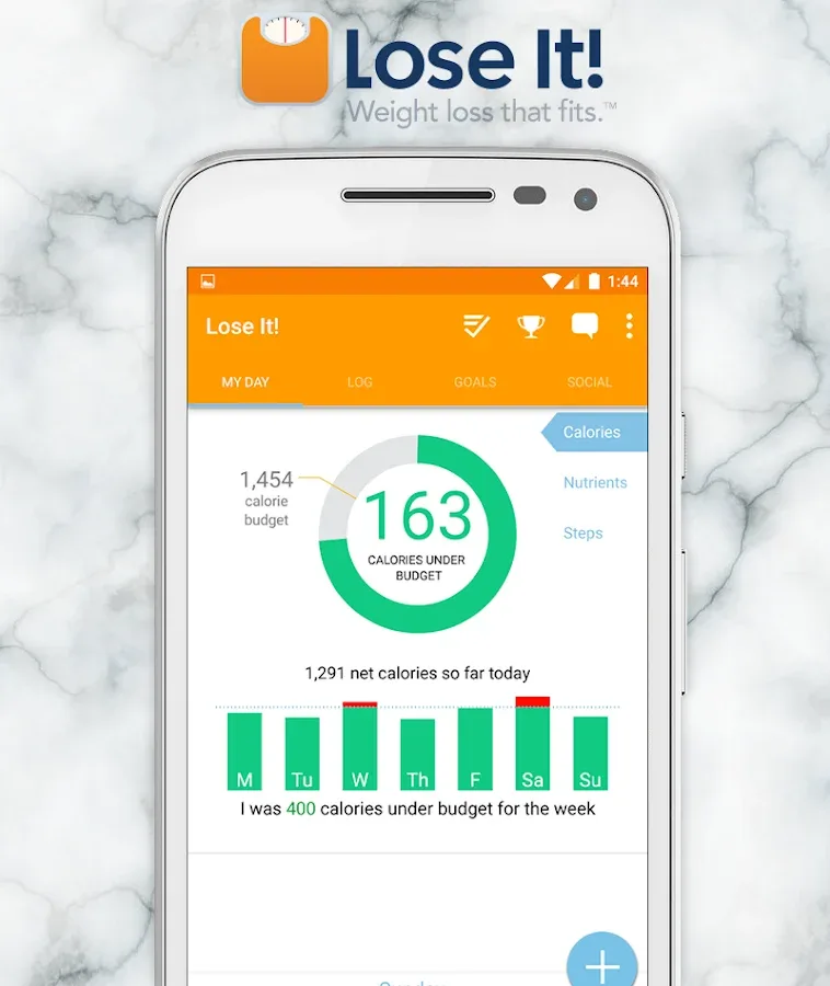 Top Weight Loss Apps of 2024: Discover the Best Tools for Your Fitness Journey 5 image of the lose it! app