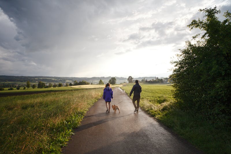 Why Do I Keep Gaining Weight? 5 Proven Reasons You’re Struggling 6 an image of a couple walking a dog on a walking trail in a beautiful outdoor setting