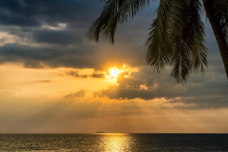 How to Get Motivated to Workout When Depressed: 5 Powerful Strategies 5 beautiful beach and sun