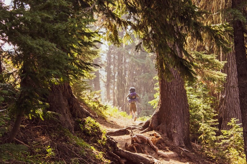 Survival Fitness: 6 Surprising Reasons You’re Not as Fit as You Think 2 hiker with large backpack in the distance