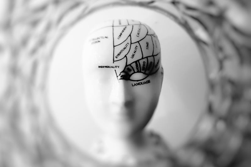The Ultimate Calisthenics FAQ: Everything You Need to Know About Bodyweight Training 9 graphic of brain activity