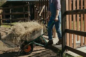 Read more about the article Unlock Farmer Strength: The Rugged Blueprint for Real-World Power
